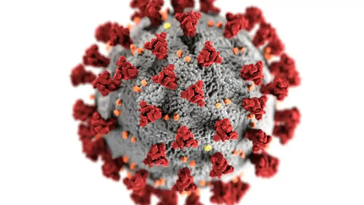 Influenza A Bukan Flu Biasa, Ini Gejala dan Bahaya yang Perlu Diwaspadai