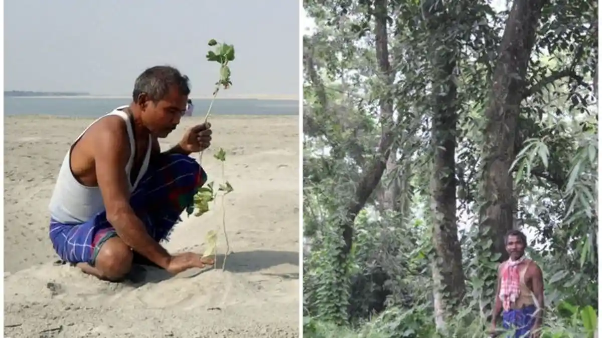 Pria Ini Seorang Diri Mengubah Tanah Tandus Jadi Hutan Selama 40 Tahun