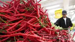 Harga-Cabai-Merah-Jelang-Ramadhan-Maret.jpg