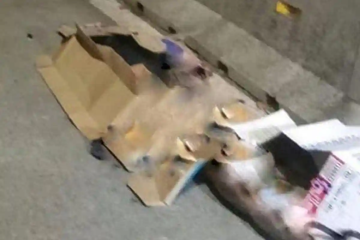 2 Bocah Pemulung Kakak Beradik Tewas Ditabrak Mobil Mewah di Jakarta Timur