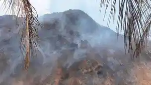 Ribuan-Ton-Batubara-di-Sungai-Gelam-Terbakar-Dinas-LH-Muaro-Jambi-Surati-Kementerian-ESDM.jpg