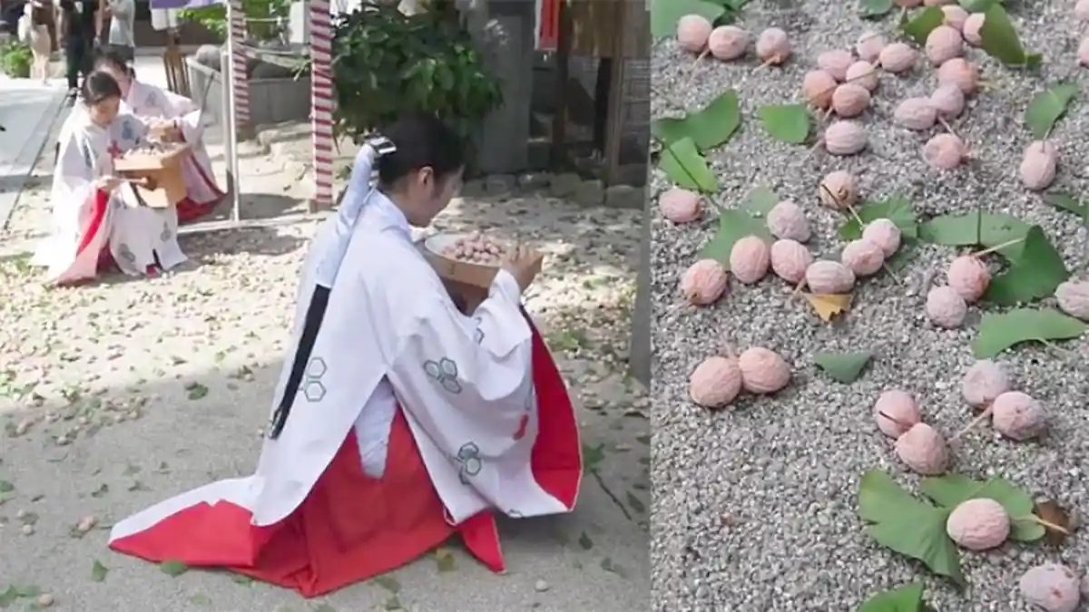 Upacara Ginan Otoshi di Jepang Tarik Perhatian Banyak Turis