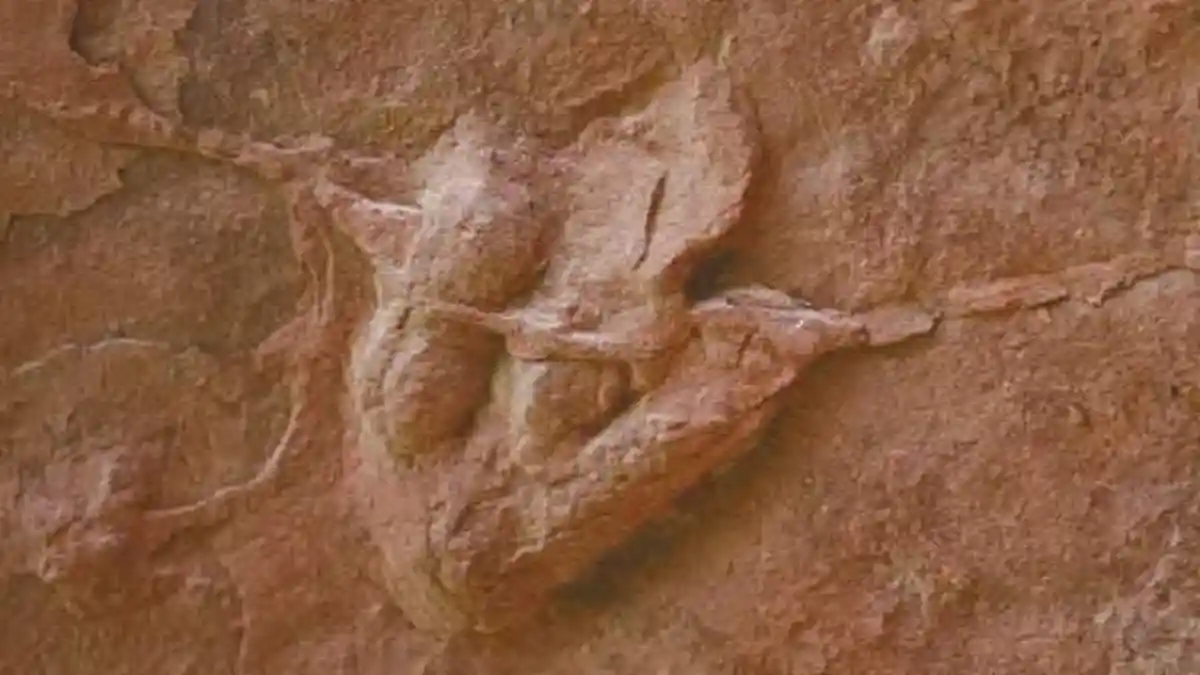 Ahli Temukan Jejak Kaki Dinosaurus Terkecil di Dunia yang Panjangnya Hanya 2 Cm