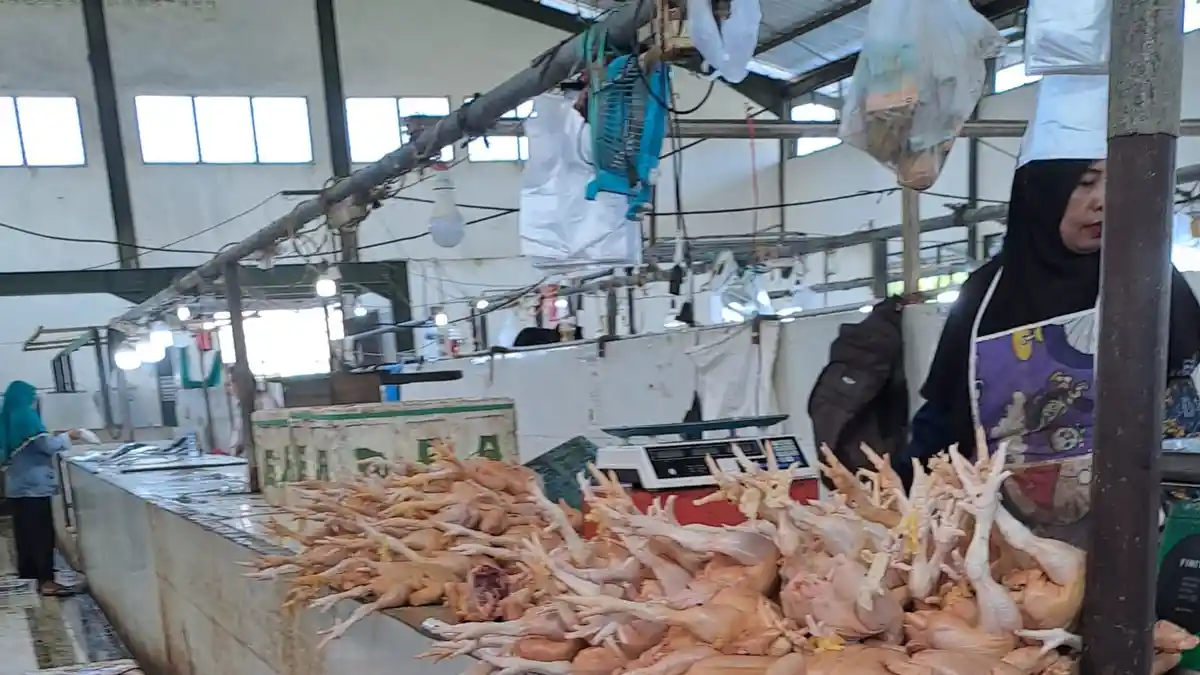Pasca Idul Adha, Harga Ayam di Pasar Induk Tanjung Selor Rp 52.000 per Kg, Harga Daging Sapi Turun