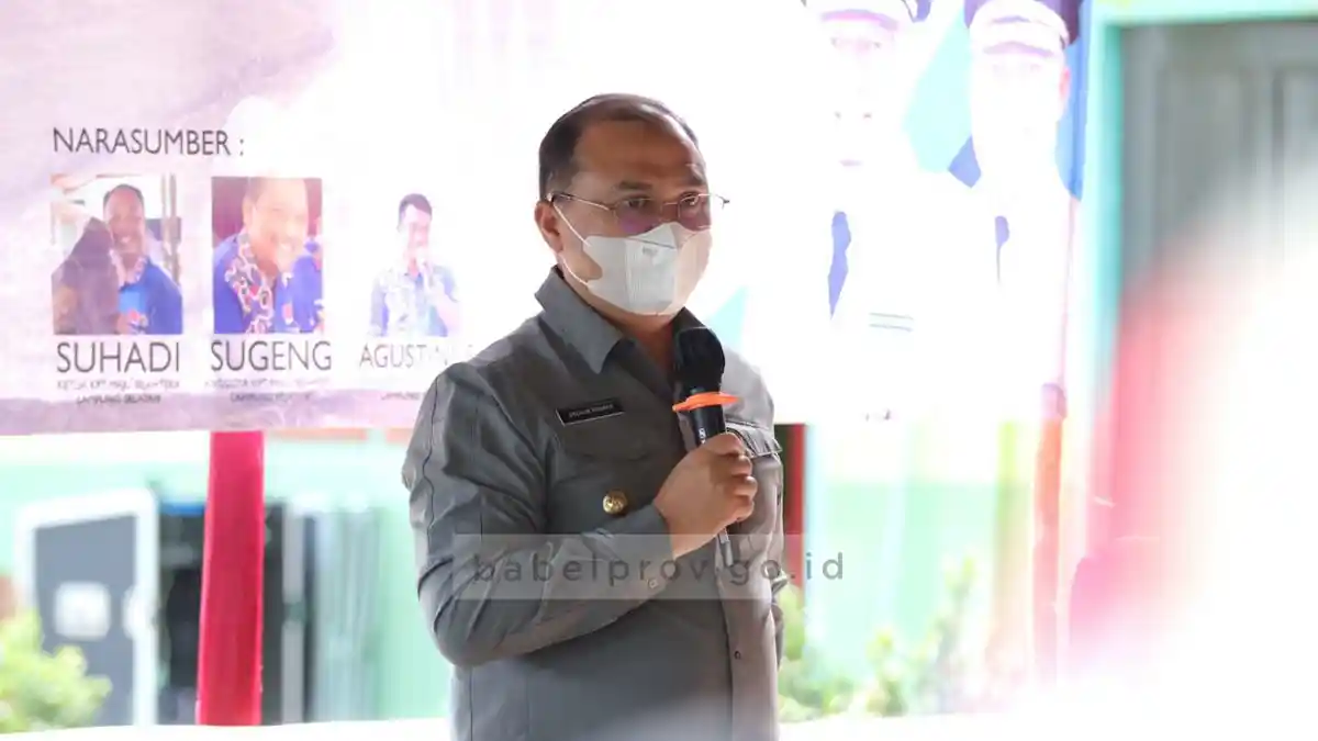 Gubernur Bangka Belitung Bantu Bibit Jahe Merah, Dikembangkan di Pondok Pesantren