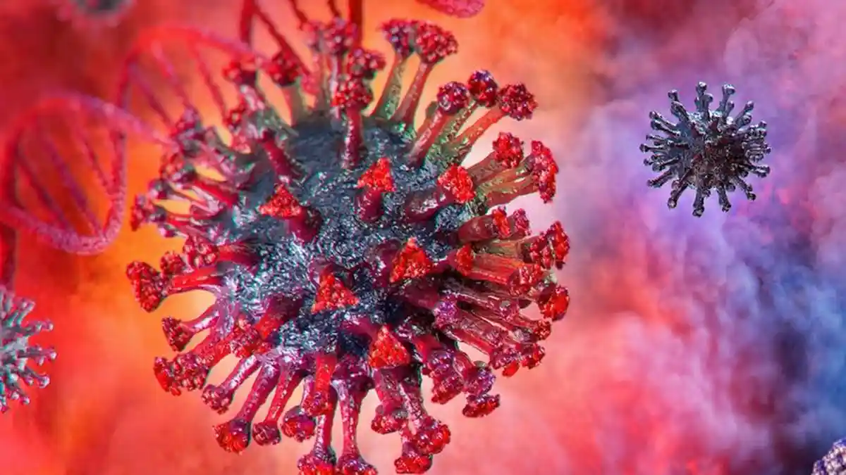 TERUNGKAP 1 Negara Paling Aman dari Virus Corona, 'Penyelamatnya' Tak Disangka, Dilakukan Sejak Lama