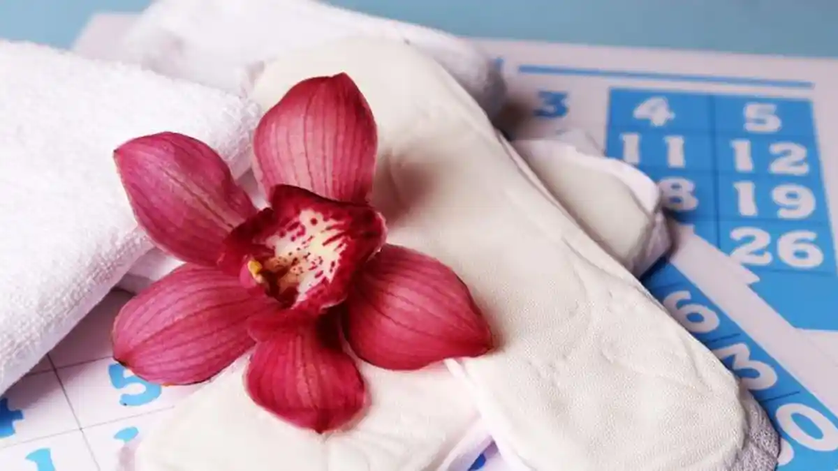 Ternyata, Pembalut Wanita dan Pampers Bayi Dibuat dari Sagu