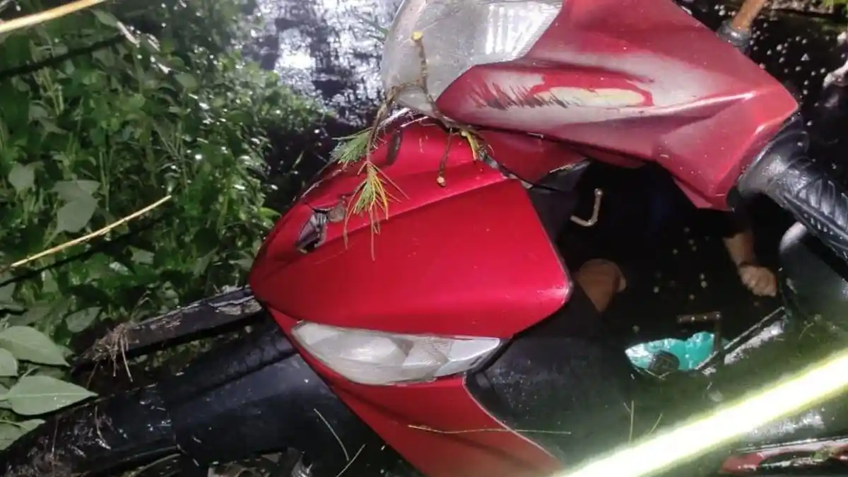 Kecelakaan di Bantul Tewaskan Warga Banyudono Boyolali, Motor Tabrak Pohon Tumbang
