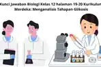 Kunci-Jawaban-Biologi-Kelas-12-halaman-19-20-Kurikulum-Merdeka-Menganalisis-Tahapan-Glikosis.jpg