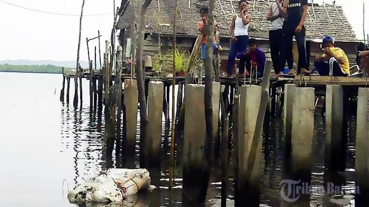 Panjul Karungkan Mayat Amir Lalu Dibuang ke Sungai