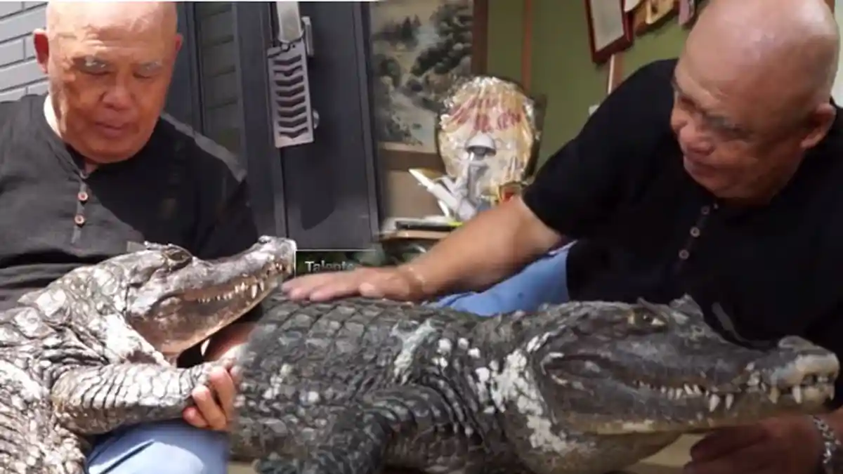Kisah Pria Hidup Bersama Buaya Selama 39 Tahun hingga Menggigit Anaknya
