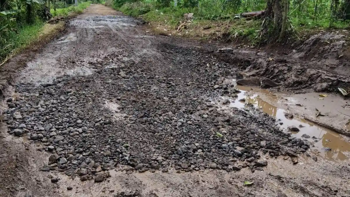 Jalan Sindangbarang Panumbangan Ciamis Rusak Parah, Warga Desa Terpaksa Swadaya
