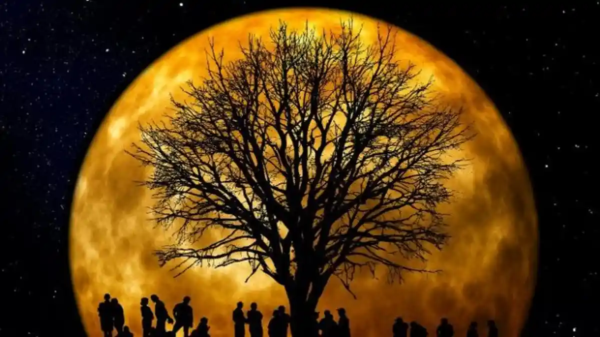 Akan Terjadi Fenomena Super Snow Moon di Indonesia, BMKG Minta Warga di 5 Wilayah Ini Waspada