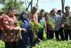 Urban Farming Makassar Disiapkan Suplai SPPG MBG, Wali Kota Munafri Tinjau Lokasi Panen Warga