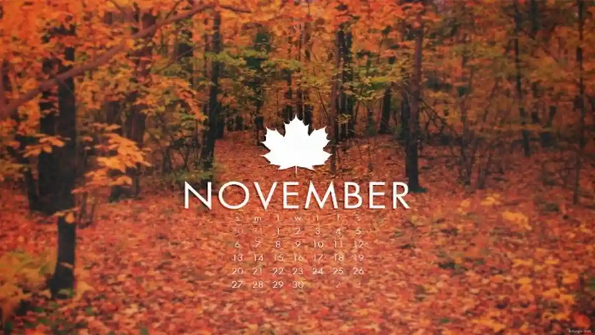 Hari-hari Penting (Besar) dan Bersejarah di Bulan November Selain Hari ...