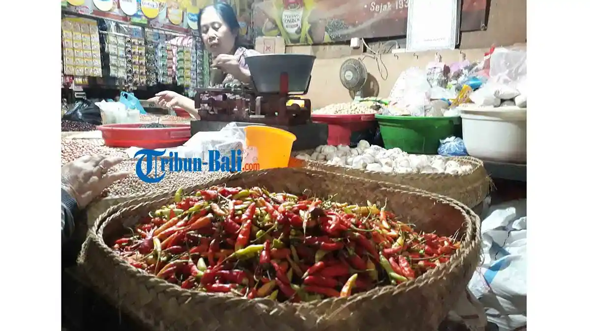 Musim Hujan, Harga Cabai Rawit di Buleleng Bali Tembus Rp 90 Ribu per Kilo