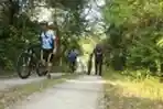 Lets Gowes Karimunjawa 2017 Jateng