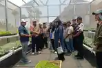 Green House Geotheater Rancakalong Sumedang Jadi Laboratorium Pertanian untuk Pelajar hingga Petani