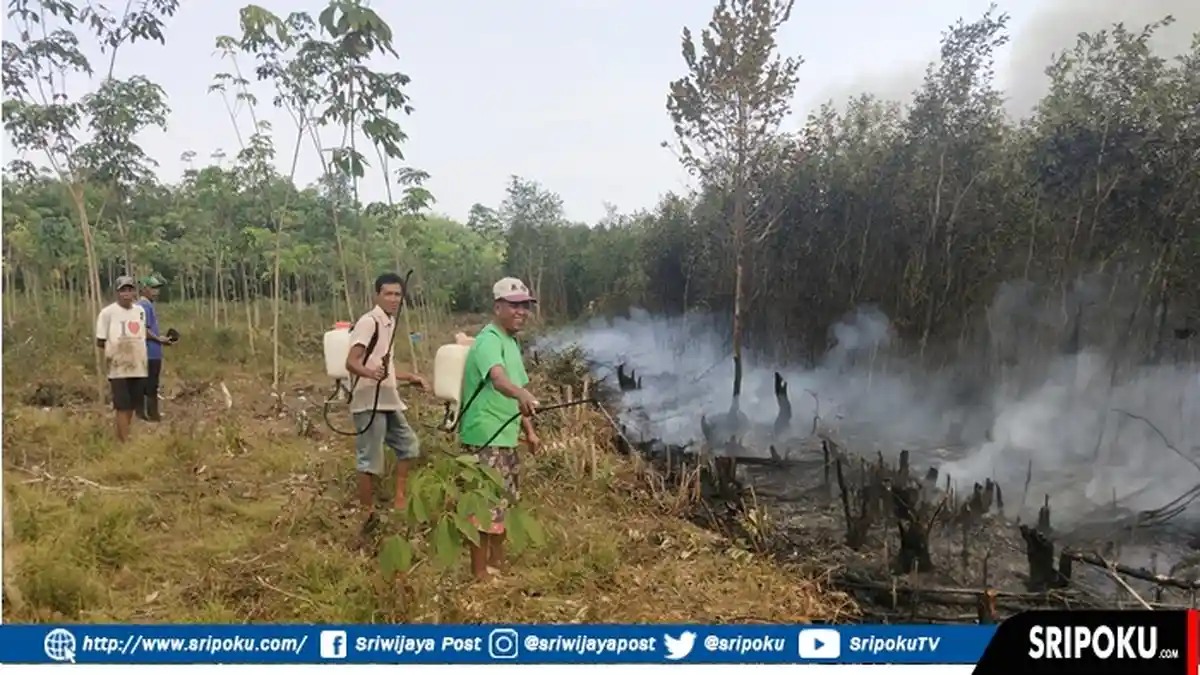 Titik Api Terus Merambat, Petani Karet Di PALI Panik Hingga Rela Tidur Di Kebun