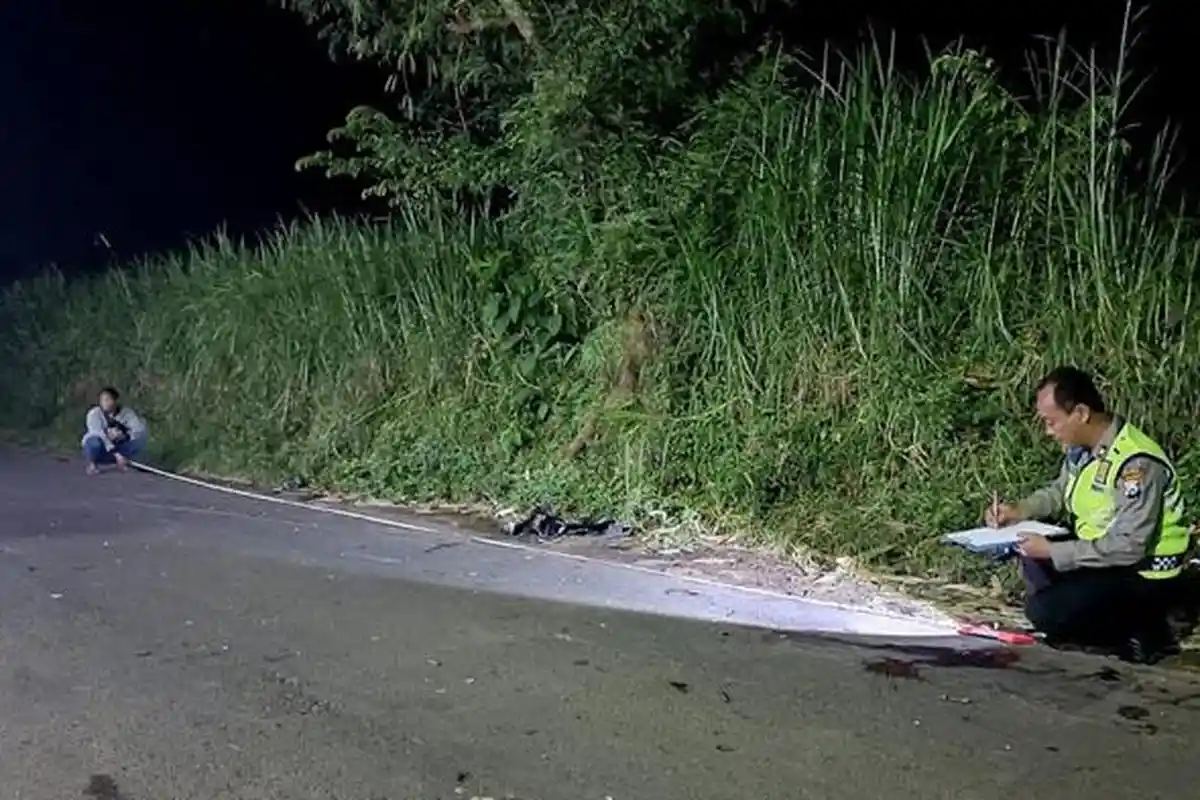Kecelakaan Maut di Probolinggo, Motor Adu Banteng, Dua Pengendara Tewas, Begini Kronologinya