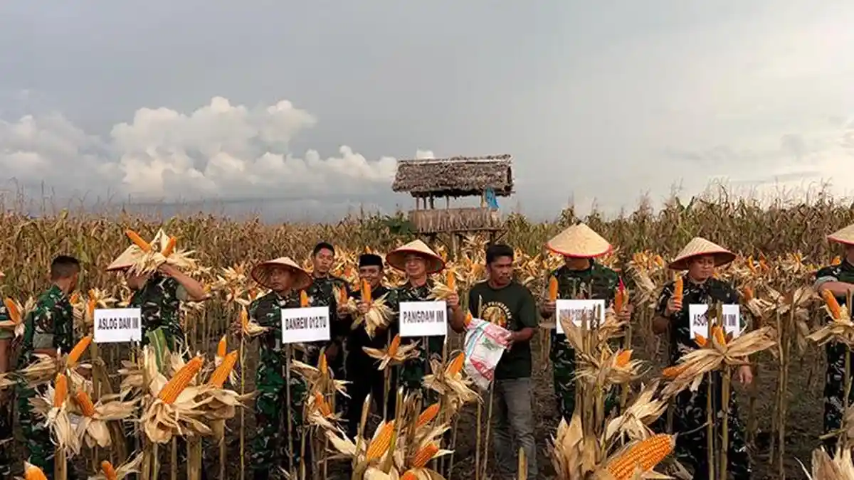 Pangdam Panen Jagung di Subulussalam, Ini Tiga Usulan Petani