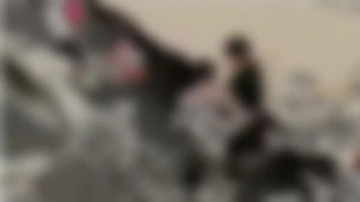 Viral Video Oknum Satpol PP Pukul Sopir Truk Saat Razia PPKM di Cimahi