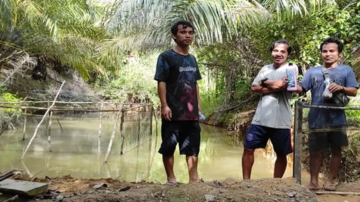 Ciptakan Kemandirian Ekonomi, PT BMP Salurkan Bantuan Bibit Ikan Nila