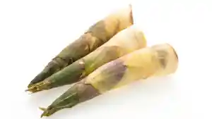 Manfaat-rebung.jpg