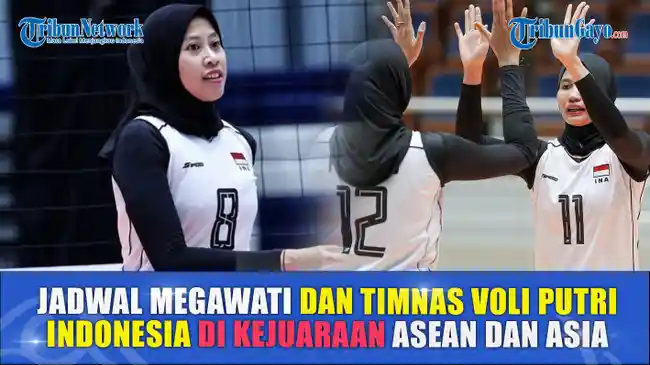 Tribun