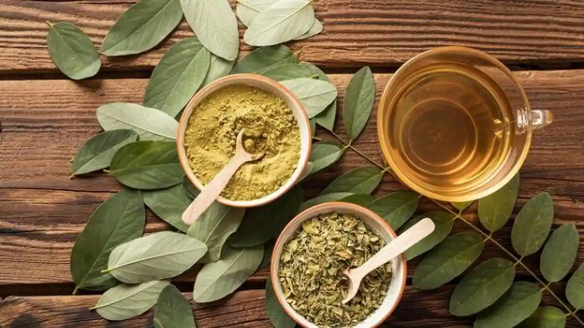 Resep Herbal Dengan Daun Kayumanis: Manfaat dan Cara Pembuatannya Serta Kandungan Nutrisinya