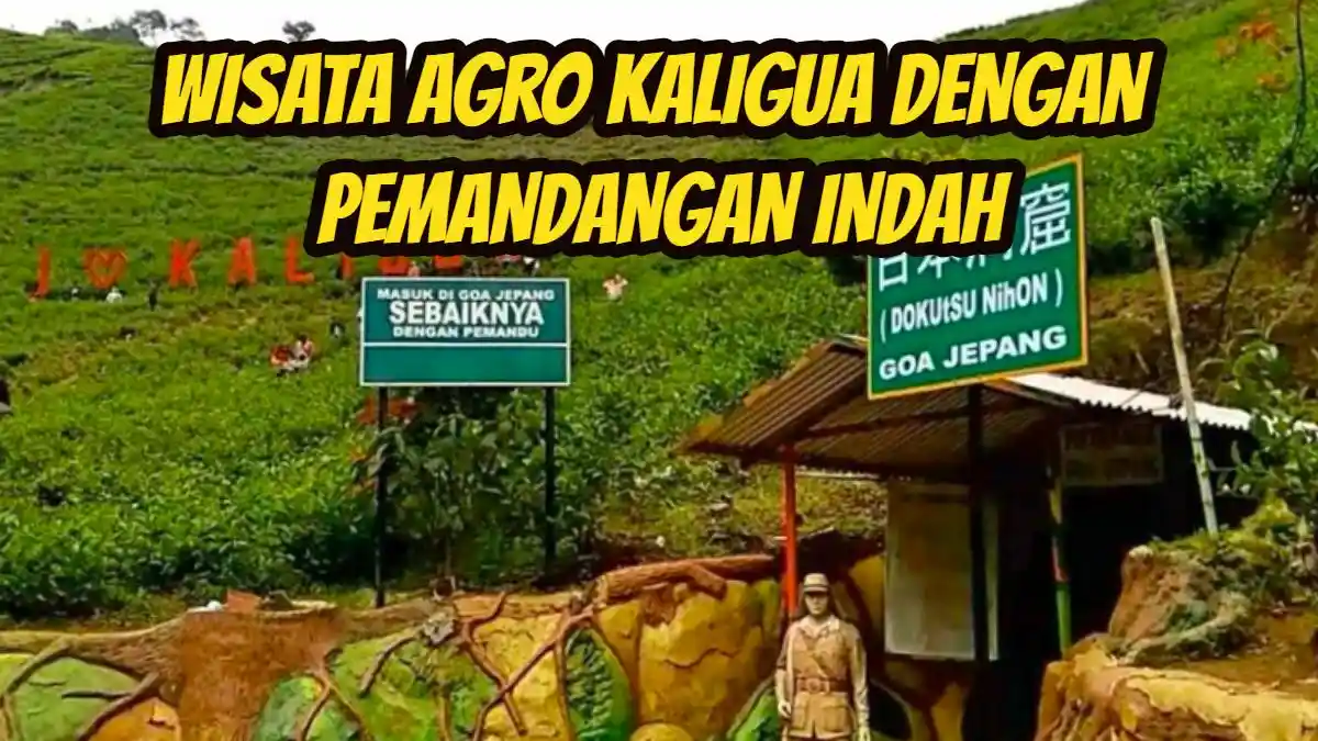 2 Jam dari Pusat Kota Brebes, Ada Wisata Agro Kaligua dengan Kebun Teh, Pas Buat Libur Lebaran 2025
