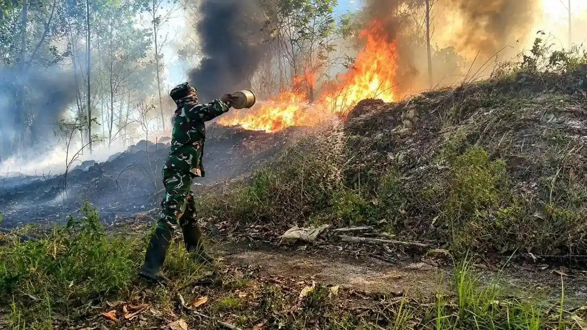 Karhutla Landa Sampit Kalteng, Api Berkobar 15 Meter dari Rumah Warga