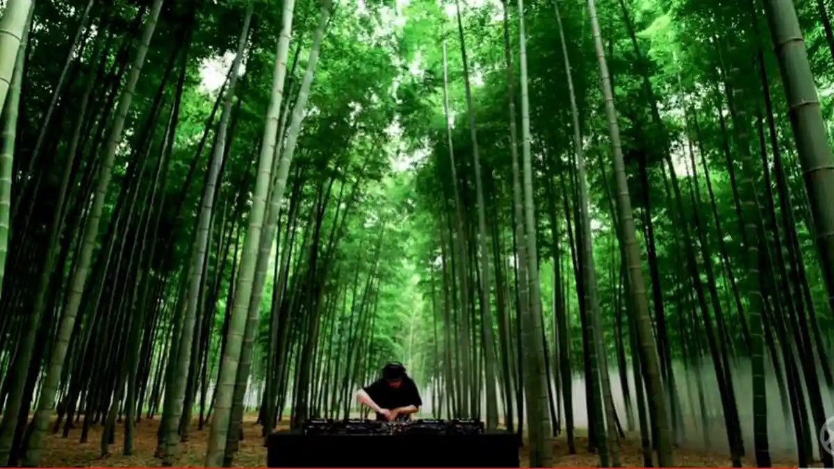 Link Download dan Playlist Lagu Dj 2021, Lengkap dengan Videonya