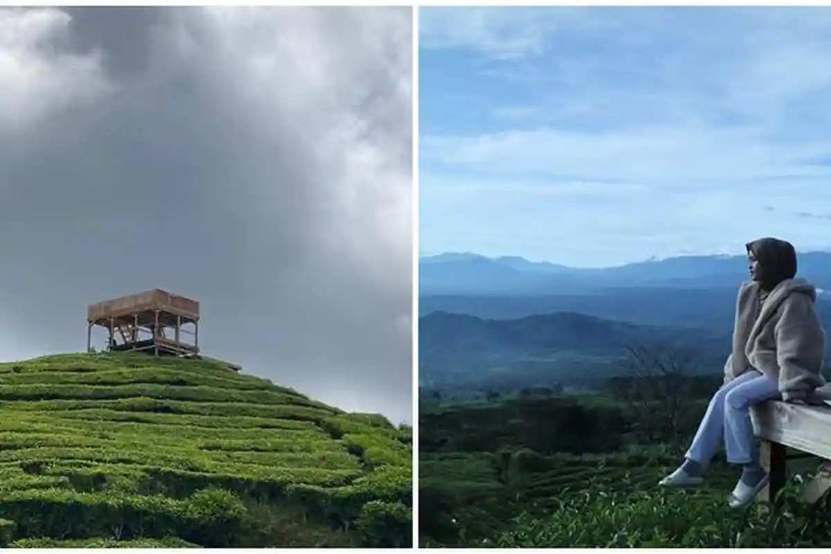 Melihat Keindahan Bukit Tungguan Pagar Alam, Objek Wisata Baru Cocok Jadi Tujuan Liburan Sekolah