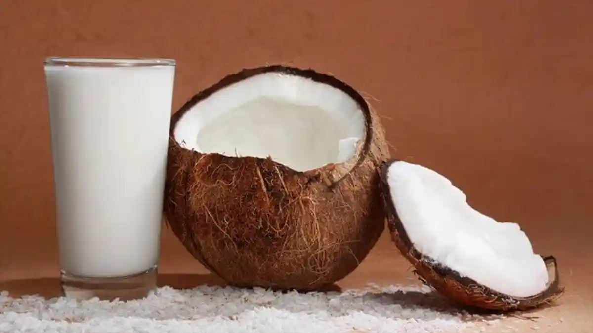 Cara Memasak Santan Agar Tidak Kolesterol, Cocok untuk Masakan Lebaran