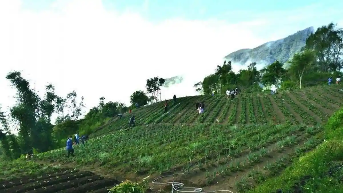 Wisata NTT,  Desa Pemo yang Mempesona, Penyangga Penyangga di Kawasan Danau Kelimutu 