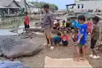 Seekor-hiu-paus-berbobot-sekitar-1-ton-ditemukan-mati-terdampar-di-Pantai-Bahagia.jpg