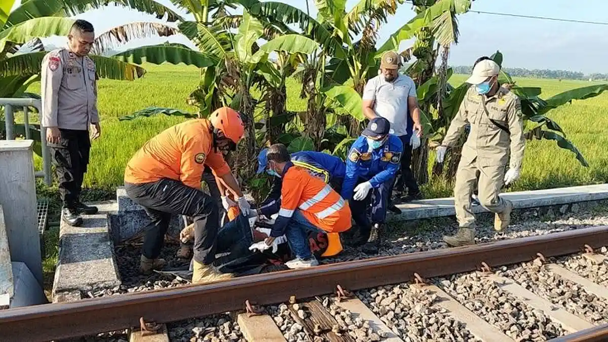 Tak Gubris Klakson Masinis, Pejalan Kaki Tewas Tertabrak KA Gumarang di Blora