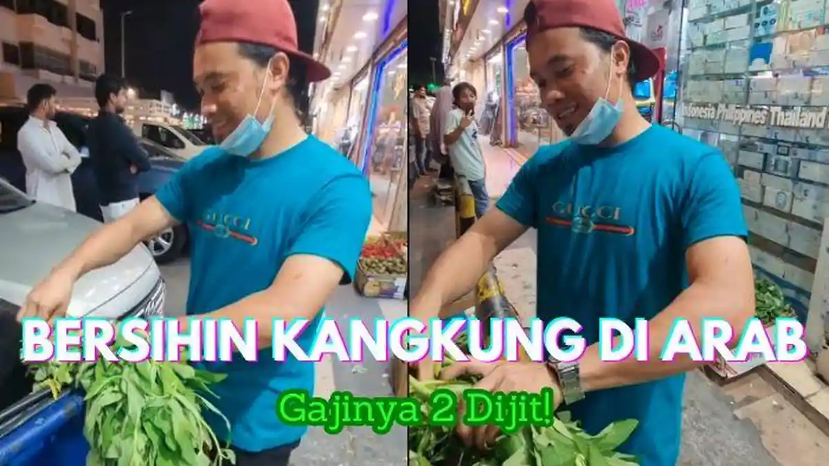 Kisah Pria Asal NTB Kerja Jadi Pembersih Daun Kangkung di Arab Saudi, Gajinya Dua Digit