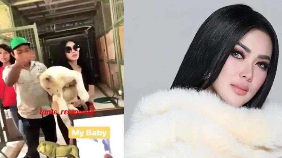 Momen Lucu Syahrini, Saking Hebohnya Gendong Bayi Singa, Baju Mewah dan Wajah Makeupnya Kena Tabok