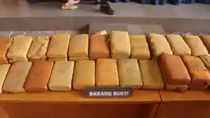 ilustrasi-ganja-paket.jpg