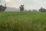 Cuaca 7 Kota di Sumbar 1 April 2026: Waspada Hujan Petir di Kota Solok