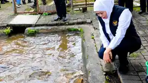 Gubernur-Jawa-Timur-Khofifah-Indar-Parawansa-soal-budidaya-ikan-mas-punten.jpg