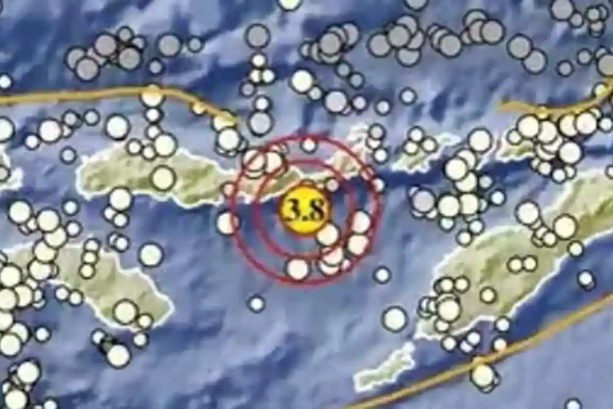 Gempa Terkini Siang Ini Senin 4 Maret 2024, Baru Saja Guncang di Laut, Info BMKG Magnitudonya
