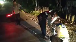 Polisi-saat-melakukan-olah-TKP-pasca-kecelakaan-di-jalur-Singaraja-Gilimanuk-Sabtu-2832026.jpg