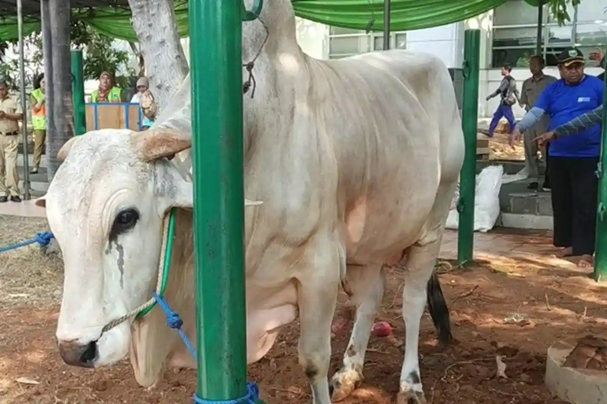 Bagaimana Hukum Berkurban untuk Orang yang Sudah Meninggal? Simak Penjelasan Buya Yahya