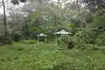 gazebo-di-bukit-cogong-musirawas.jpg
