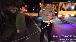 Olah-TKP-lakalantas-Pesawaran.jpg