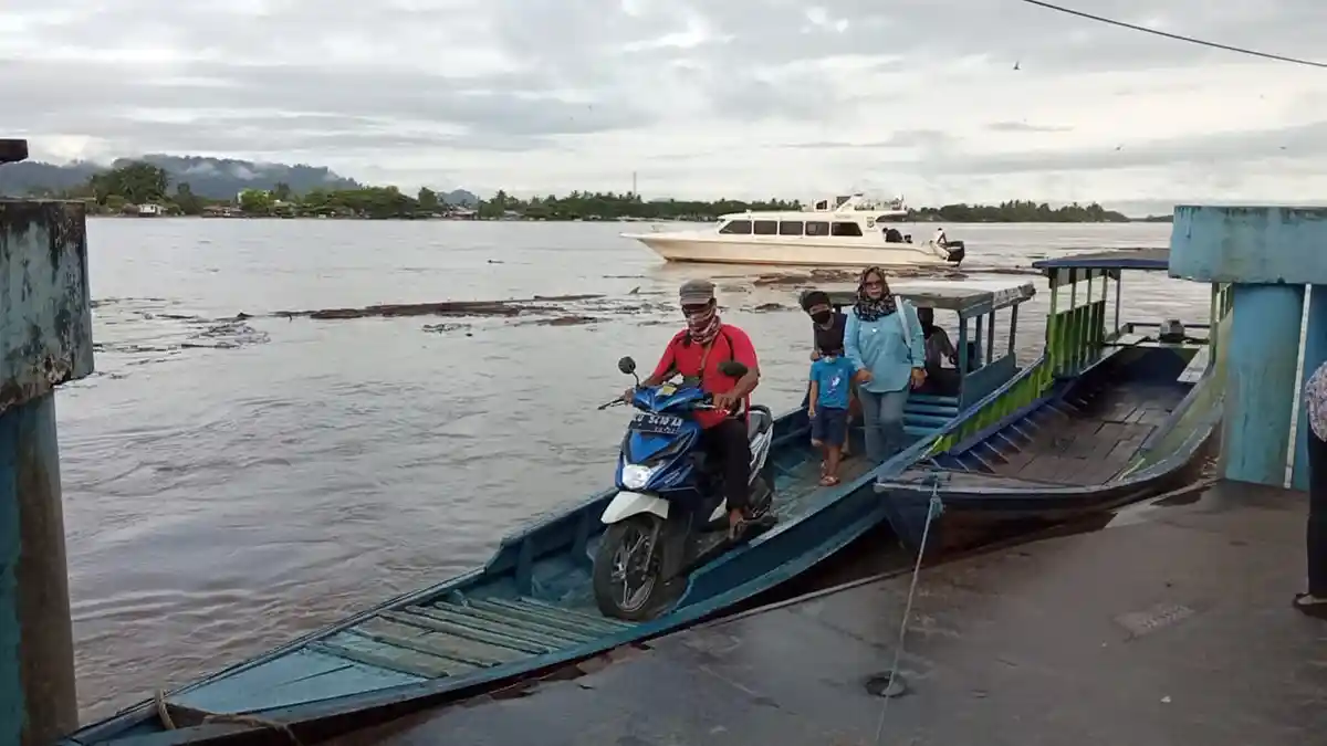 Volume Sungai Kayan Naik, Batang Kayu Berserakan Hanyut Terbawa Arus, Perahu Tambangan Tetap Jalan