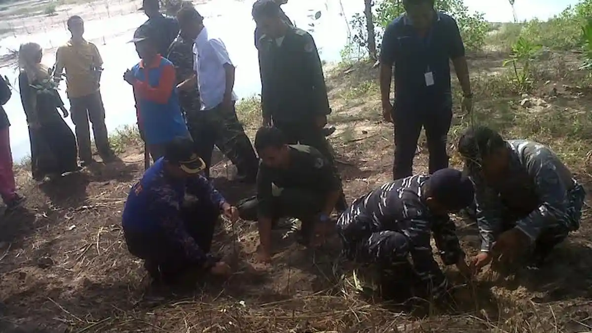 Hijaukan Lintas Timur, LSM Gempa Gandeng BI Tanam 1000 Pohon